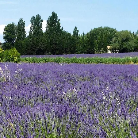 Pretty With Private Garden, Holiday home *